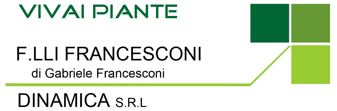 Francesconi vivaio